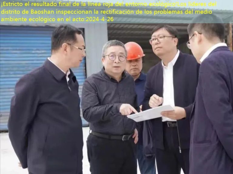 ¡Estricto el resultado final de la línea roja del entorno ecológico!Los líderes del distrito de Baoshan inspeccionan la rectificación de los problemas del medio ambiente ecológico en el acto